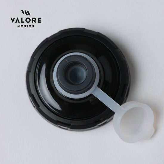 lid